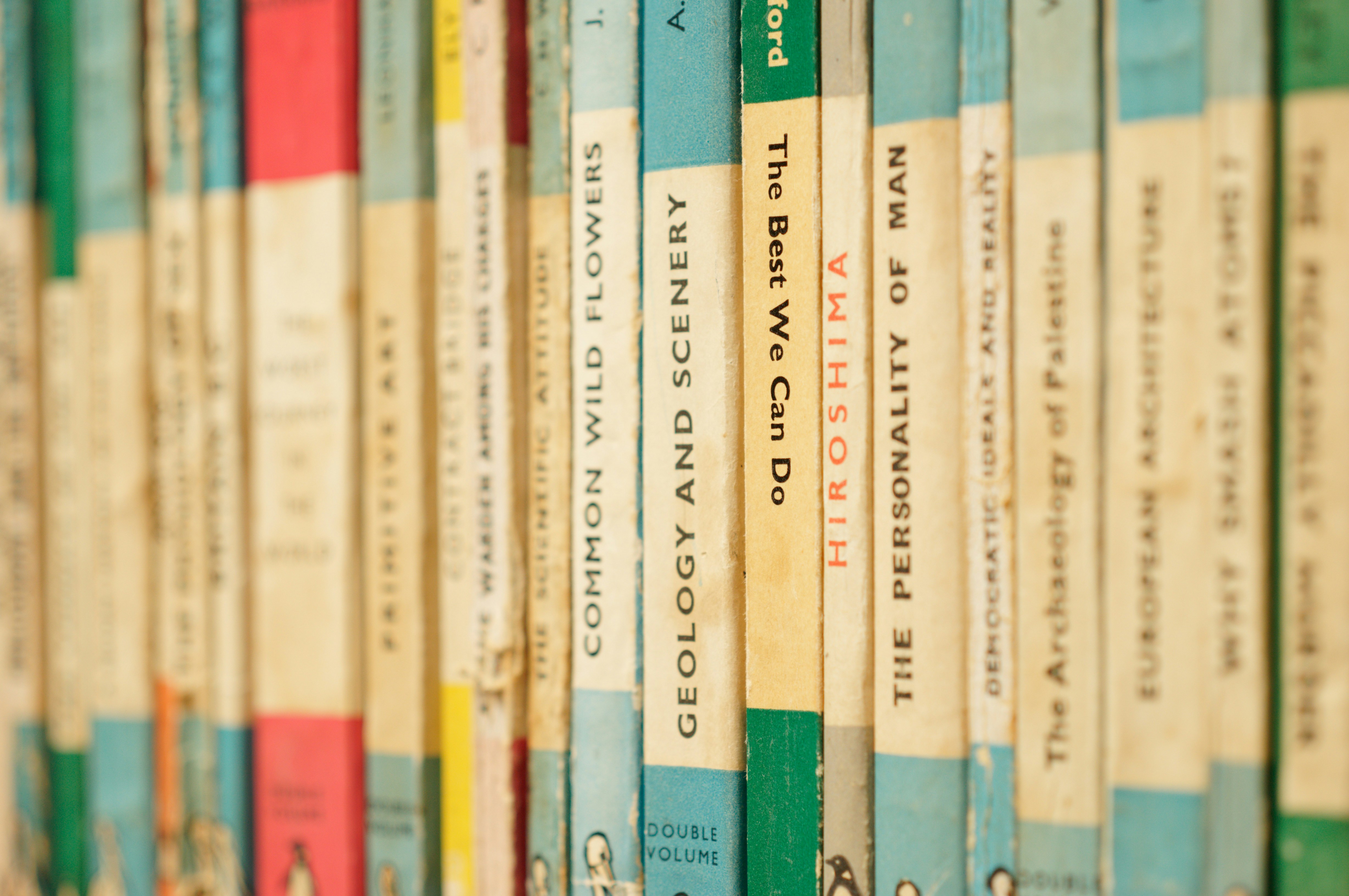 Book spines with one reading The Best We Can Do