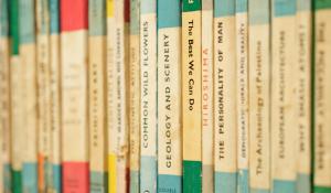 Book spines with one reading The Best We Can Do